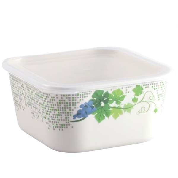 Italiano 5" Square Container Snowdrop (5" স্কয়ার কন্টেইনার স্নোড্রপ)